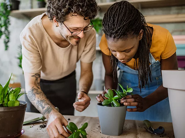 Peoples taking care of plants