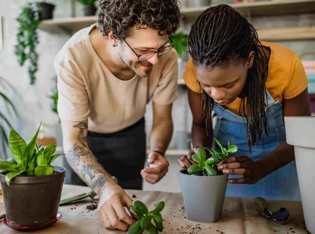 Peoples taking care of plants