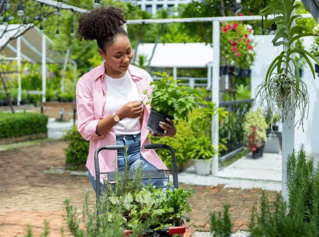 Femme qui regarde une plante dans un potager