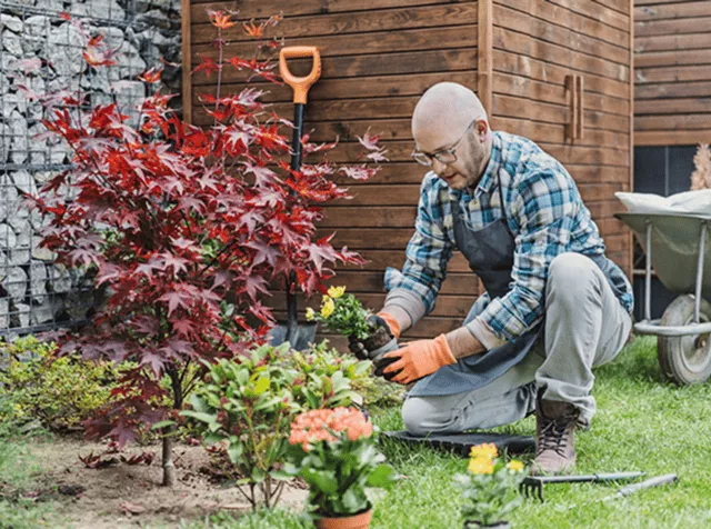 Homme qui jardine dans son jardin