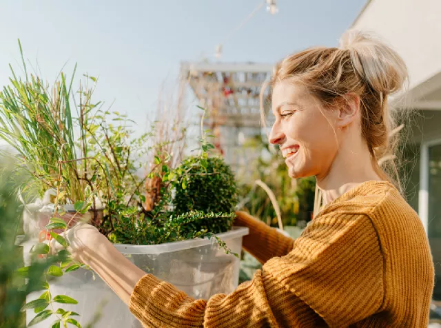 Planten verzorgen op balkon