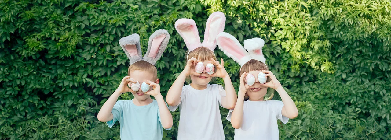 Kids bunnies