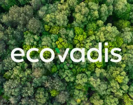 Trees with logo Ecovadis