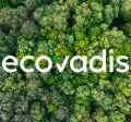 Trees with logo Ecovadis