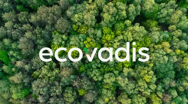 Trees with logo Ecovadis