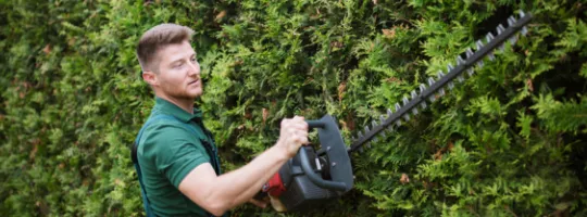 Jardinier coupant une haie