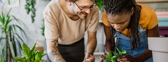 Peoples taking care of plants