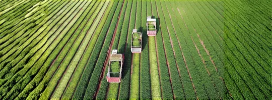 3 tracteurs en train de labourer un champ vert