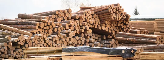 Rondins de bois sur un chantier