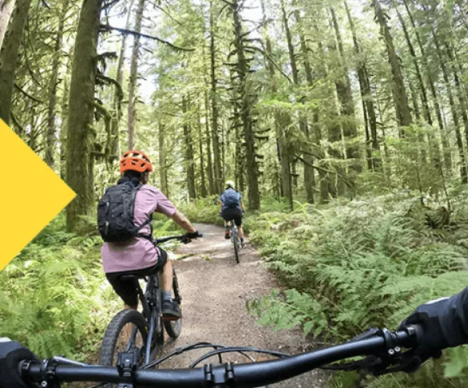Group of friends riding bikes